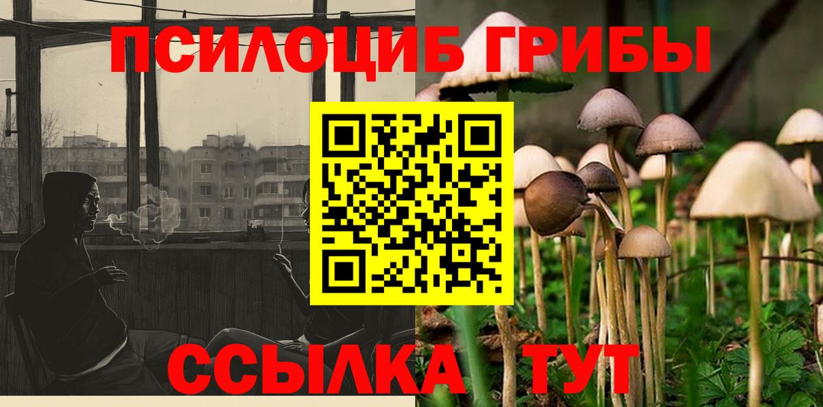 Псилоцибиновые грибы MAGIC MUSHROOMS Кушва